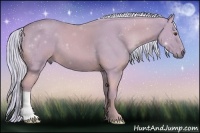 Horse Color:Watercolor Palomino 