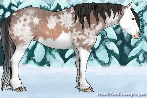 Horse Color:Bay Ice Roan Splash 