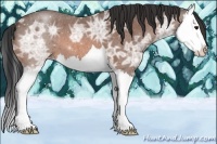 Horse Color:Bay Ice Roan Splash