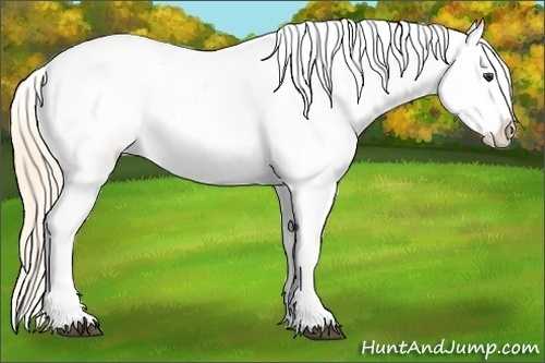 Horse Color:Watercolor Palomino Appaloosa 