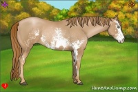 Horse Color:White Spotted Chestnut Pearl Frame 