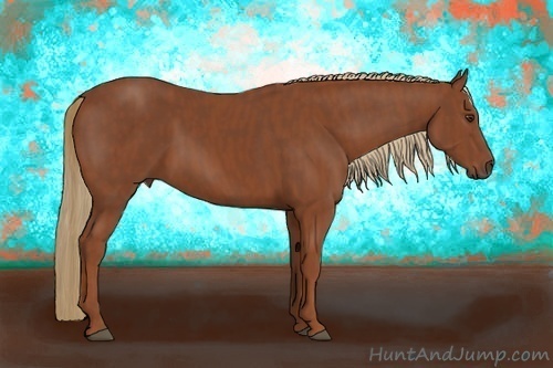 Horse Color:Chestnut Brindle