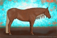 Horse Color:Chestnut  Brindle