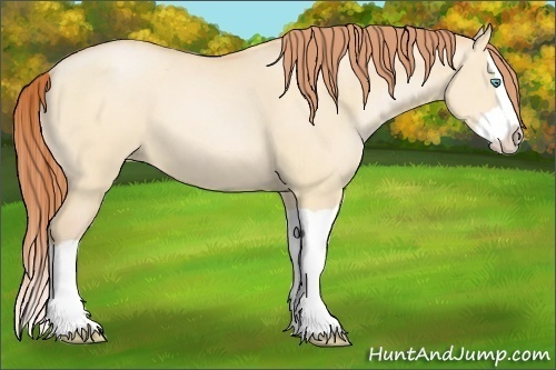 Horse Color:Buckskin Pearl Dun Splash 