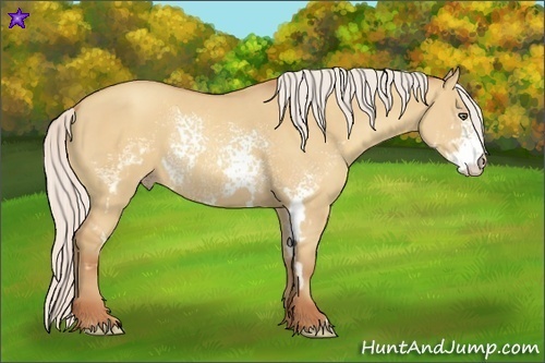 Horse Color:White Spotted Silver Amber Champagne Dun Frame 