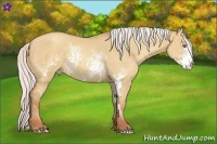 Horse Color:White Spotted Silver Amber Champagne Dun Frame 