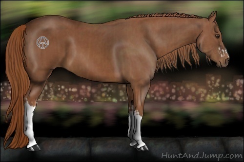 Horse Color:Chestnut  and Chestnut 