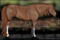 Horse Color:Chestnut and Chestnut
