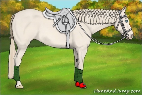 Horse Color:Perlino 