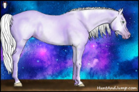 Horse Color:Gray Silver Amber Cream Champagne Roan Dun Splash Tobiano Frame Varnish Rabicano