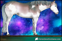 Horse Color:Watercolor Liver Red Onyx Mushroom Splash