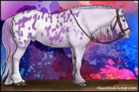 Horse Color:Watercolor Chestnut Appaloosa 