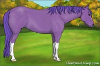 Horse Color:Watercolor Bay Roan 