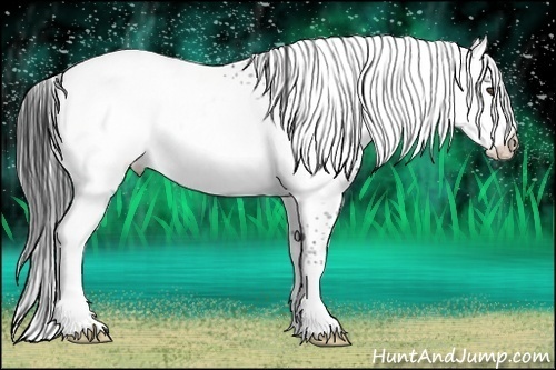Horse Color:White Spotted Brown