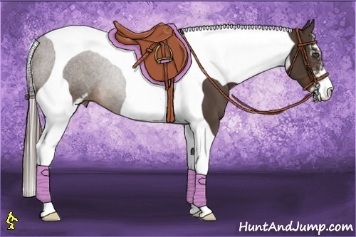 Horse Color:Liver Chestnut Sabino Tobiano