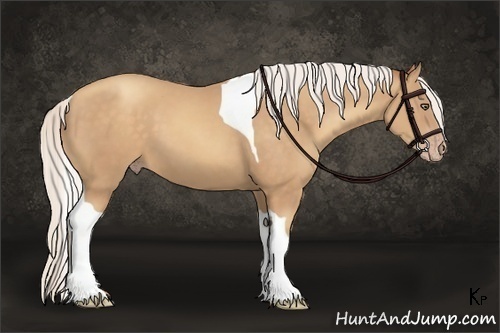 Horse Color:Silver Sable Champagne Sabino Tobiano Frame 
