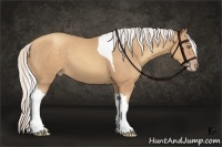 Horse Color:Silver Sable Champagne Sabino Tobiano Frame 