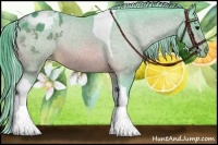 Horse Color:Watercolor Bay Tobiano Varnish 