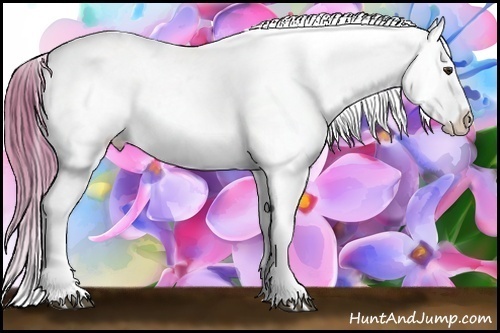 Horse Color:Watercolor Chestnut Appaloosa 