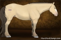 Horse Color:Amber Cream Champagne 