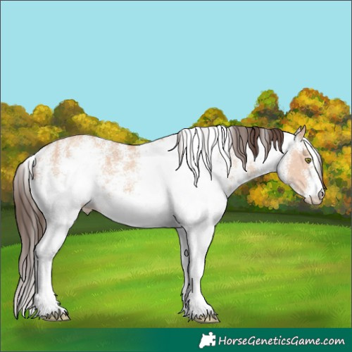 Horse Color:White Spotted Amber Champagne 