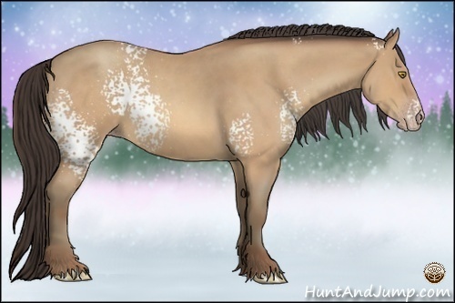 Horse Color:White Spotted Amber Champagne Roan 