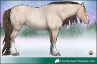 Horse Color:White Spotted Amber Champagne Roan 