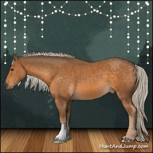 Horse Color:Chocolate Palomino 