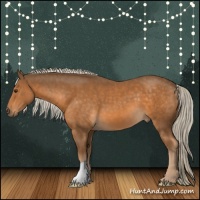 Horse Color:Chocolate Palomino 