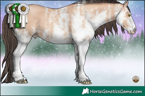 Horse Color:White Spotted Amber Champagne