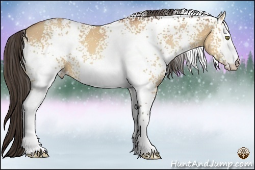 Horse Color:White Spotted Amber Champagne 