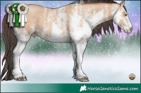 Horse Color:White Spotted Amber Champagne