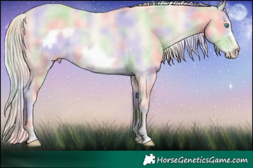 Horse Color:Nacre Cremello Roan Frame Rabicano 