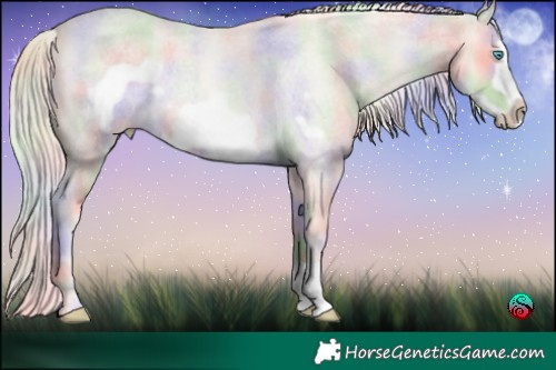 Horse Color:Nacre Cremello Roan Frame Rabicano 
