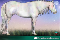 Horse Color:Nacre Cremello Roan Frame Rabicano
