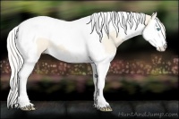 Horse Color:Cremello Splash Tobiano