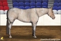 Horse Color:Amber Champagne Ice Roan Rabicano