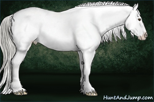 Horse Color:White Spotted Chocolate Palomino Mushroom Sabino Varnish Rabicano