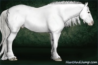 Horse Color:White Spotted Chocolate Palomino Mushroom Sabino Varnish Rabicano