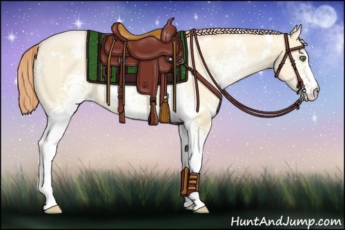 Horse Color:White Spotted Buckskin Pearl Dun