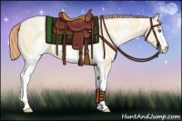 Horse Color:White Spotted Buckskin Pearl Dun 