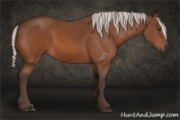 Horse Color:Silver Bay 