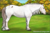 Horse Color:Chestnut Sabino Tobiano Varnish 