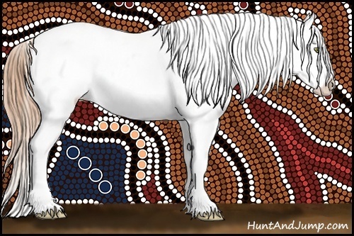 Horse Color:Gold Champagne Roan Dun Splash Tobiano Frame Appaloosa Rabicano 