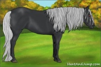 Horse Color:Silver Black Chinchilla 