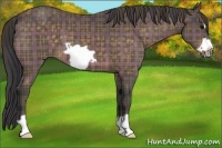 Horse Color:Plaid Bay Frame