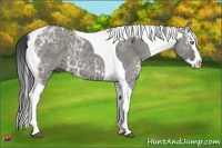 Horse Color:Smoky Grullo Ice Splash Tobiano