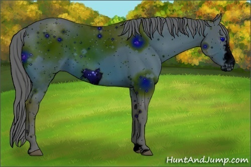 Horse Color:ERROR: UNKNOWN ANOMALY