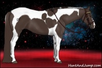 Horse Color:Liver Chestnut Tobiano 