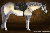 Horse Color:Plaid  Chocolate Palomino Onyx 